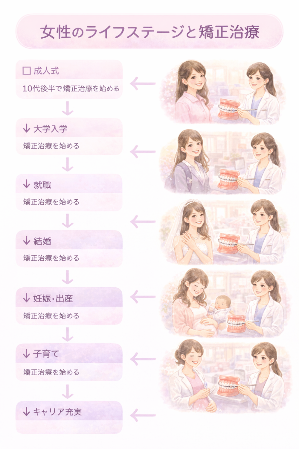 矯正治療と女性のライフステージをわかりやすく図解で説明